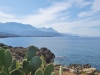 Prickly pear cacti on the cycle route from Kalogria to Pantazi Beach