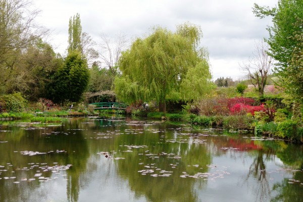 Monet's lily pond