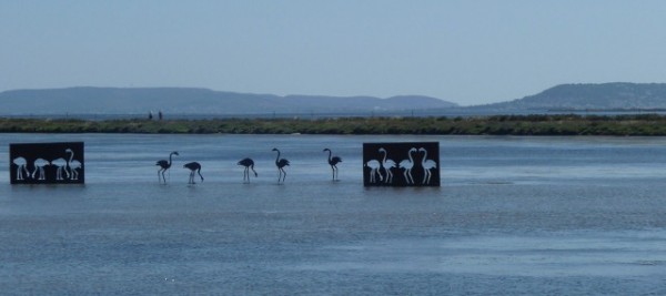 531 The Etang de Thau at Marseillan (640x285)