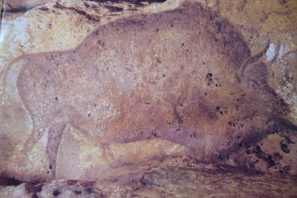 A photo of a photo at the Grotte de Font-de-Gaume