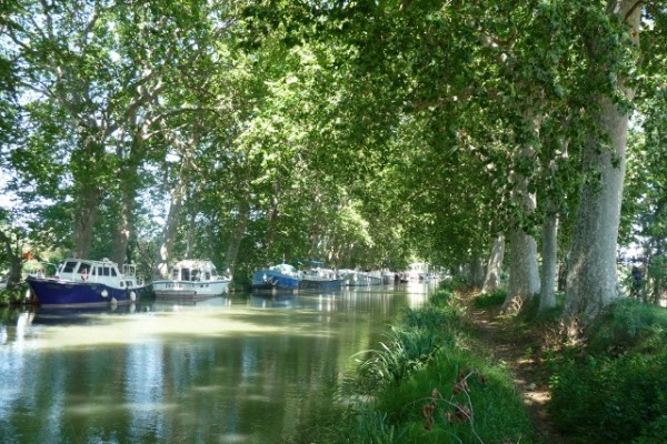 Along the Canal du Midi