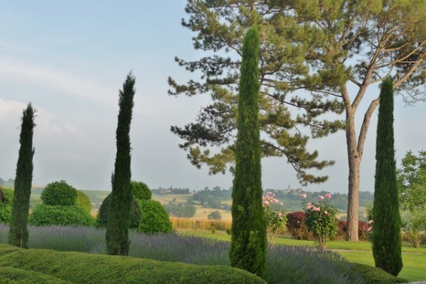 The view from Dave and Jane's garden