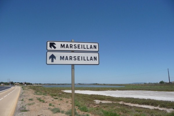 Which way