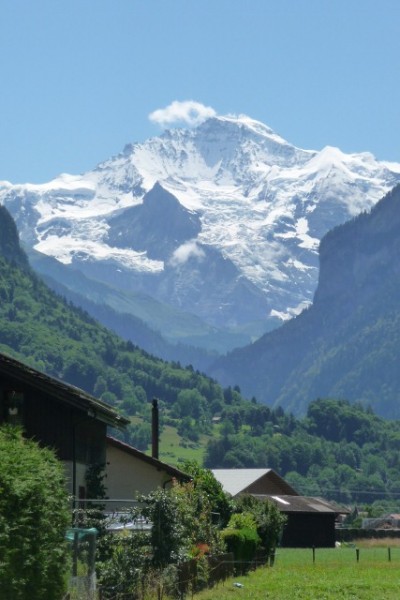 751 The Jungfrau from Wilderswil