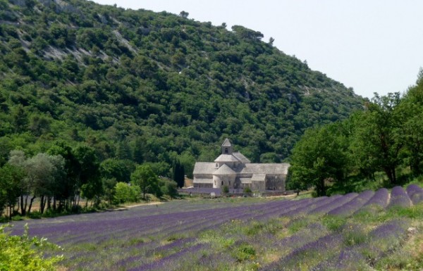 The Abbaye de Senanque