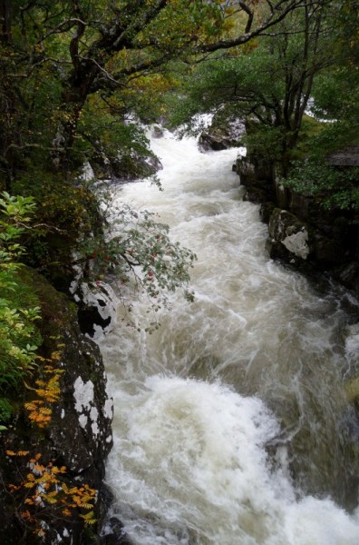 115 Glen Nevis (529x800)