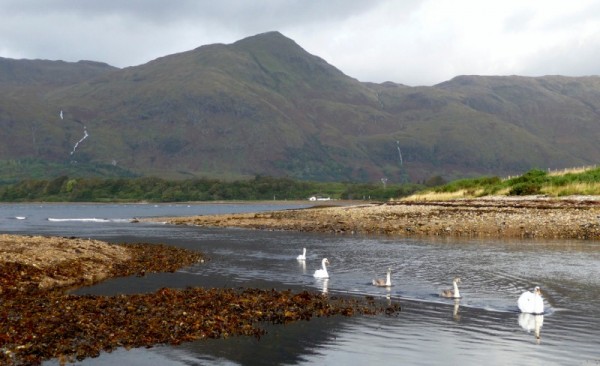 120 Eileen's view from Bunree campsite on Loch Linnhe (800x488)