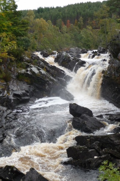153 Rogie Falls (533x800)