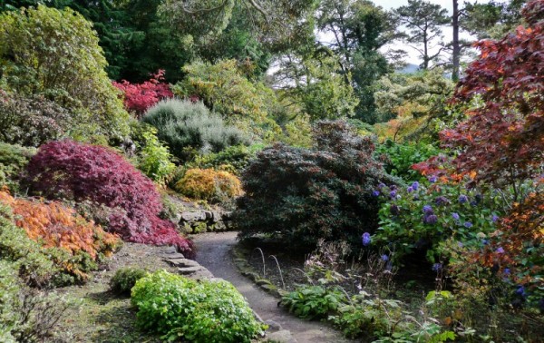 169 Inverewe Garden (800x504)