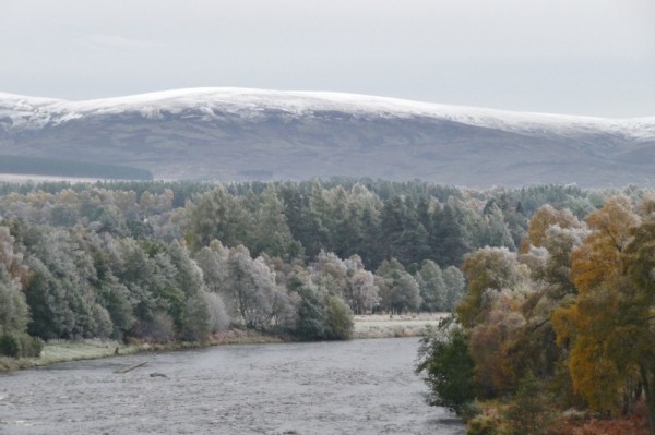 342 Speybridge