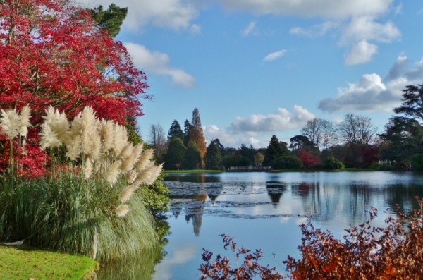 418 Sheffield Park (800x530)