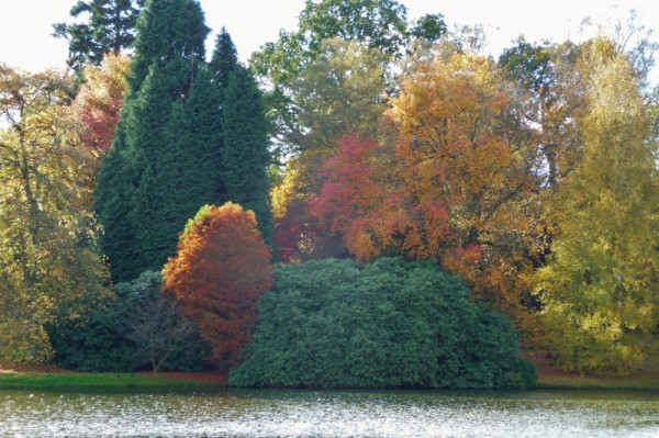 419 Sheffield Park (800x533)