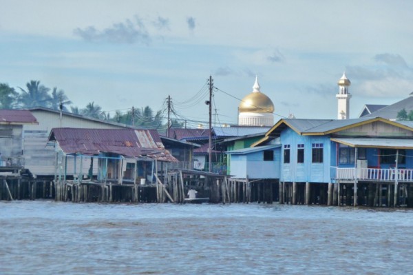 P1090319 (800x533)
