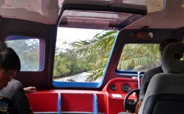 P1090373 (800x497)