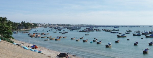 P1090580 (800x303)