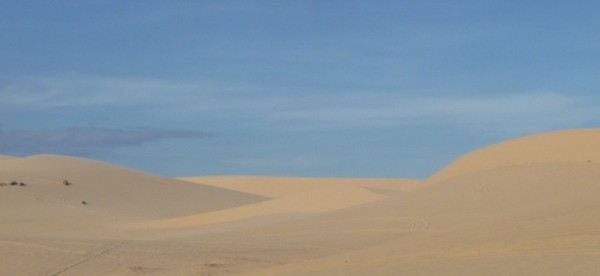 P1090589 (800x368)