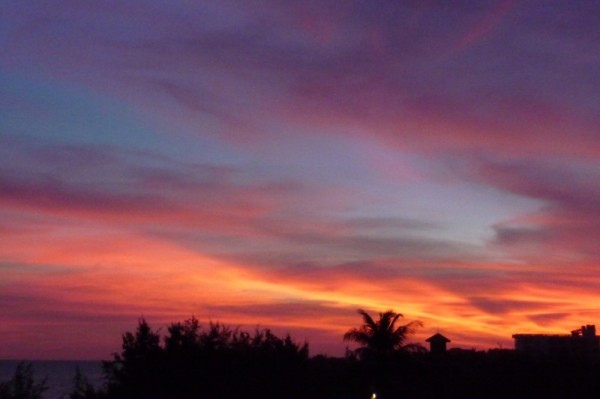 P1090623 (800x533)