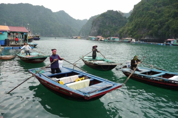 Local Water Taxis