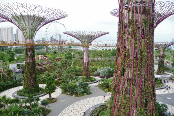 Up In The Air At The Gardens By The Bay