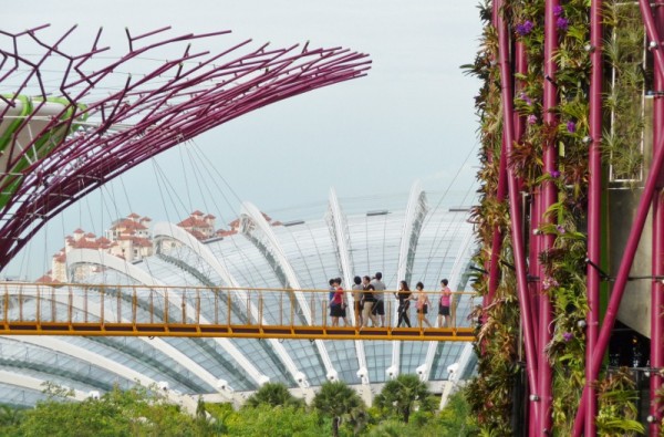 View Over The Flower Dome