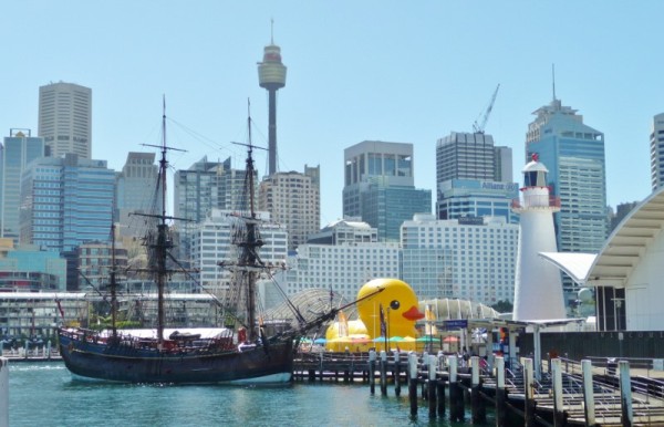 Duck in Darling Harbour !