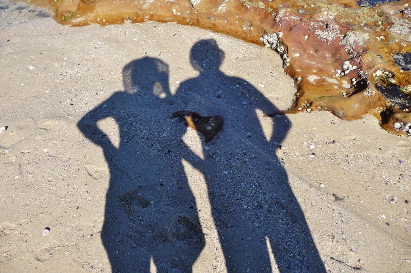 A shadowy couple.....