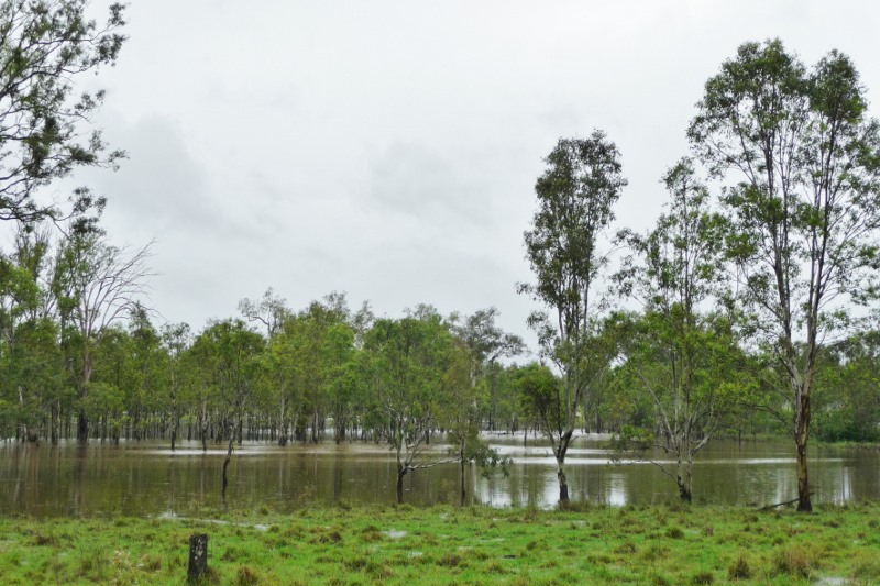 Flooded fields in Queensland