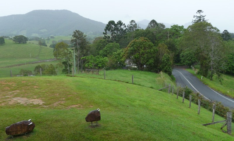 Rock sheep at the Tweed Art Gallery
