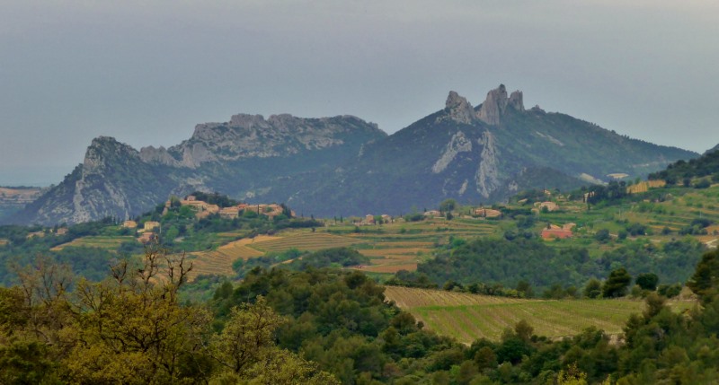 A view of the Dentelles de Montmirail