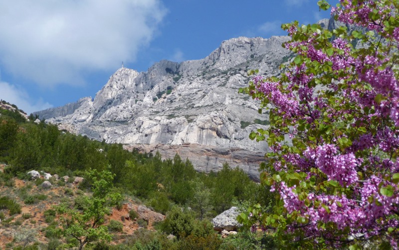 Mont Sainte Victoire