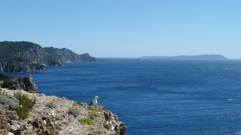 The view across to Île de Port-Cros.