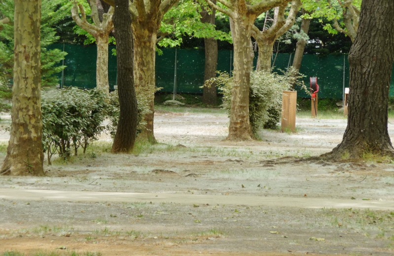 It looks like snow on the ground in the campsite