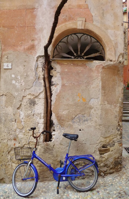 A grapevine cut into the wall