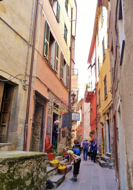 Checking lemons in Corniglia