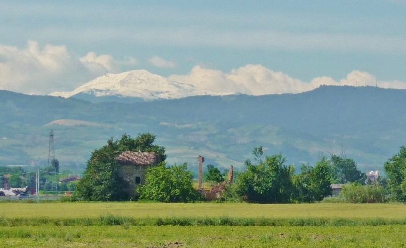 The snow capped mountains