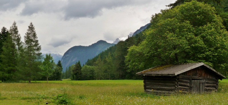 A meadow in the Leutaschtal Valley