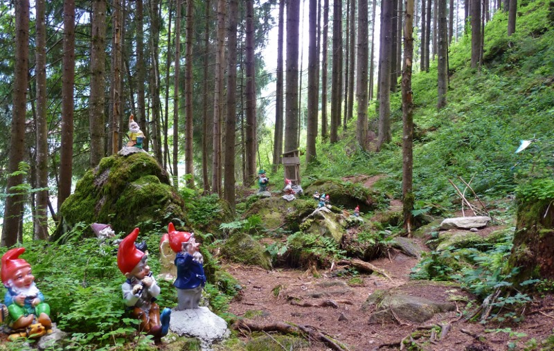 Party time in the forest