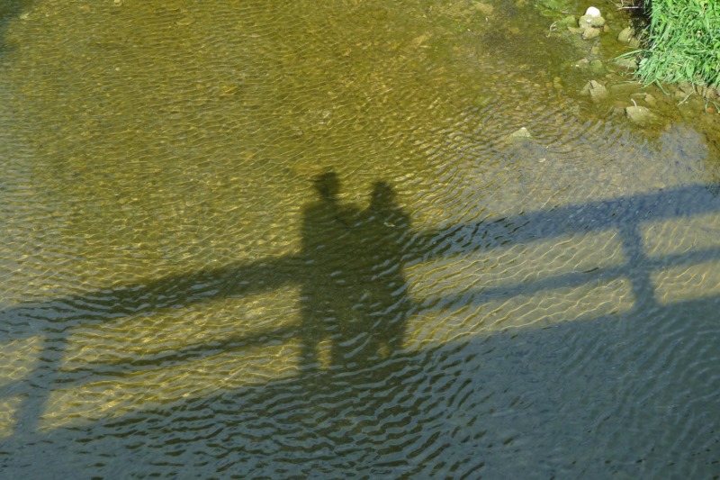 Above the Tauber River