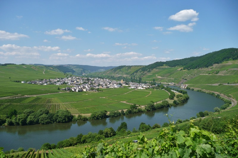 The Mosel Valley 