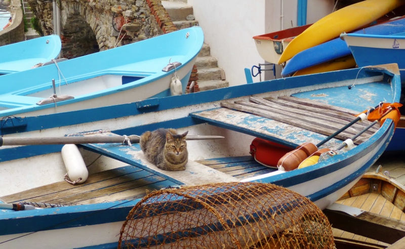 Dreaming of Riomaggiore