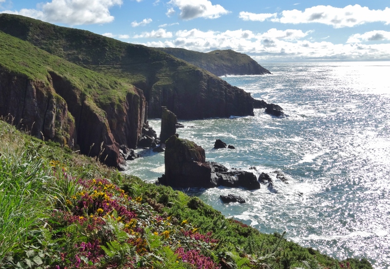 On the Coastal Path at Manorbier