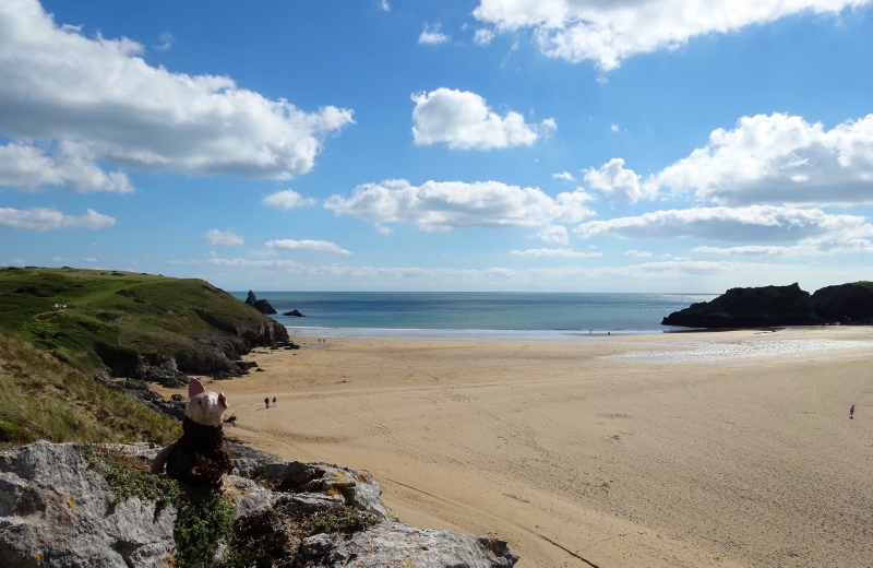 Piglet at Broadhaven Beach 