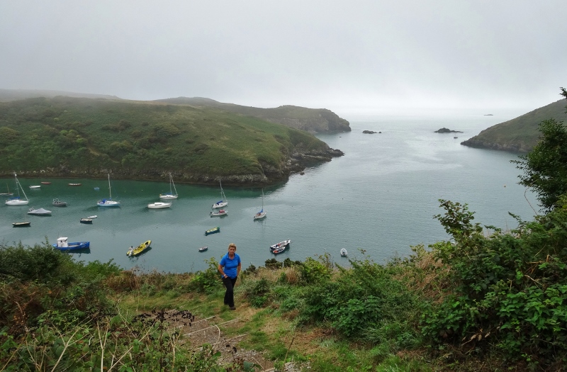 Solva Harbour with The Gribbin in the background