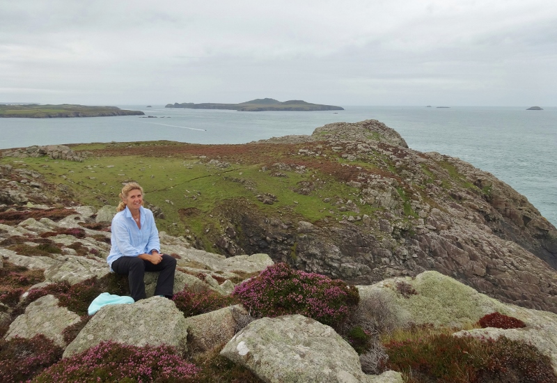 On St Davids Head