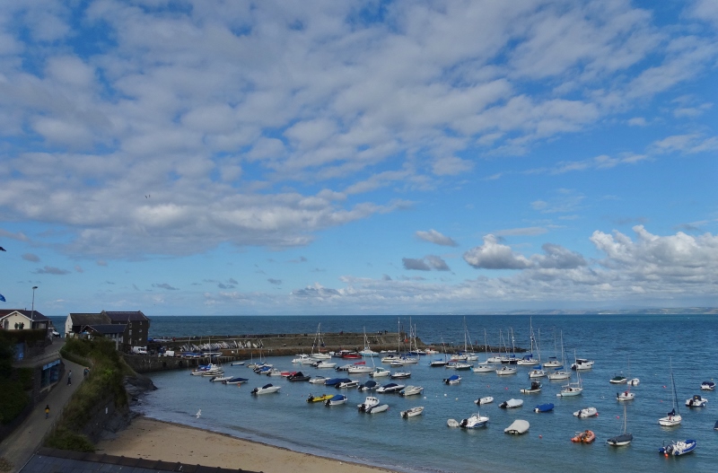 Harbour Beach in Newquay 