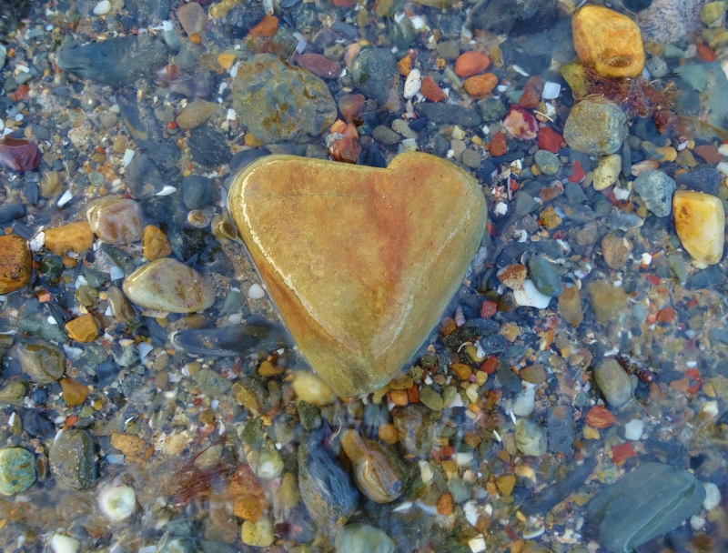 Art in nature