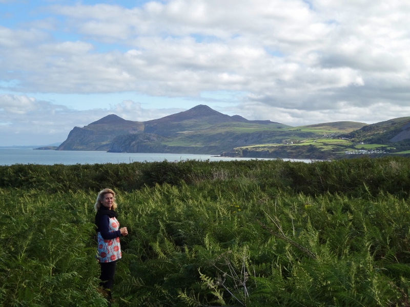 Looking north up the coast to Yr Eifl