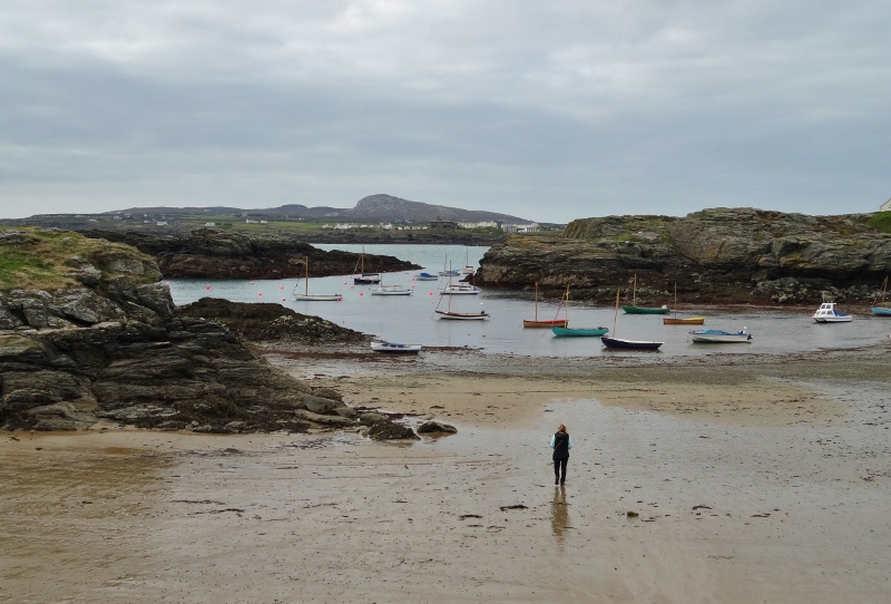 Wandering along one of the beaches in Trearddur Bay