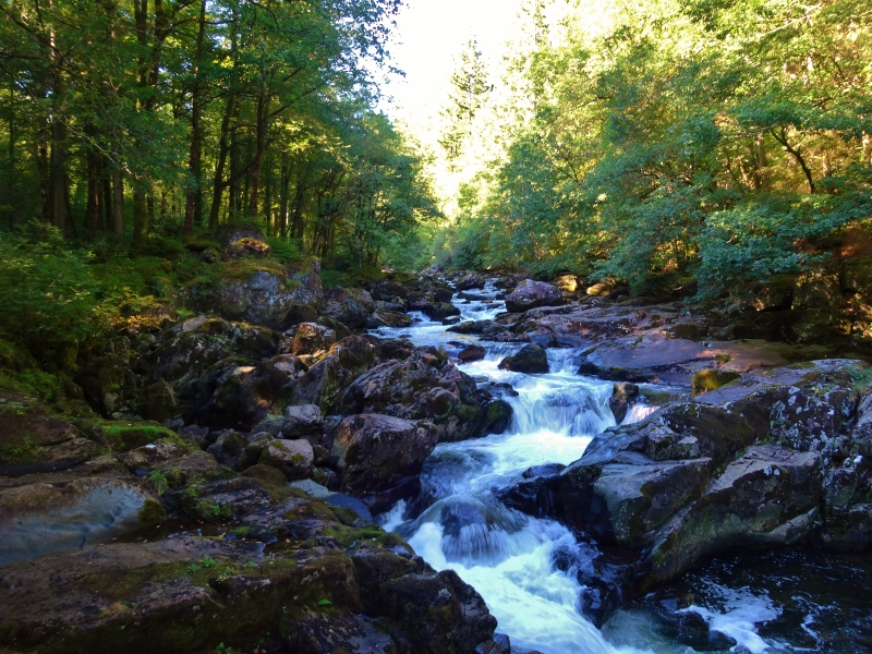 The Ogwen River, near BetwsyCoed