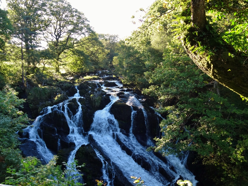 Swallow Falls